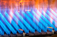 Selsdon gas fired boilers